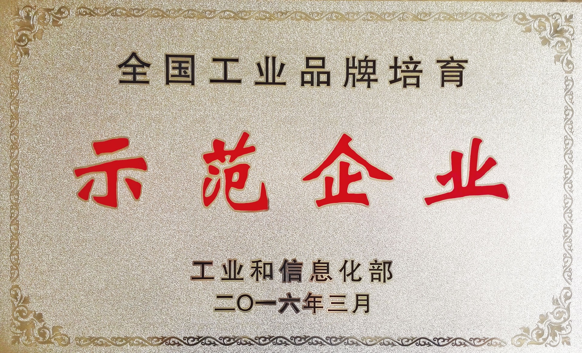 工業(yè)品牌示范企業(yè)